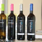 Presentación de AV Bodeguers en la DOoriginal (17 de mayo)