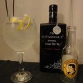 the botanicals gin perfect serve