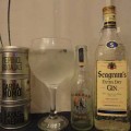 seagrams gin perfect serve